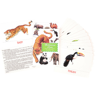 Дидактические карточки "Животные Азии"