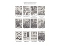 Беседы с ребенком. Великая Отечественная Война 12 картинок с текстом